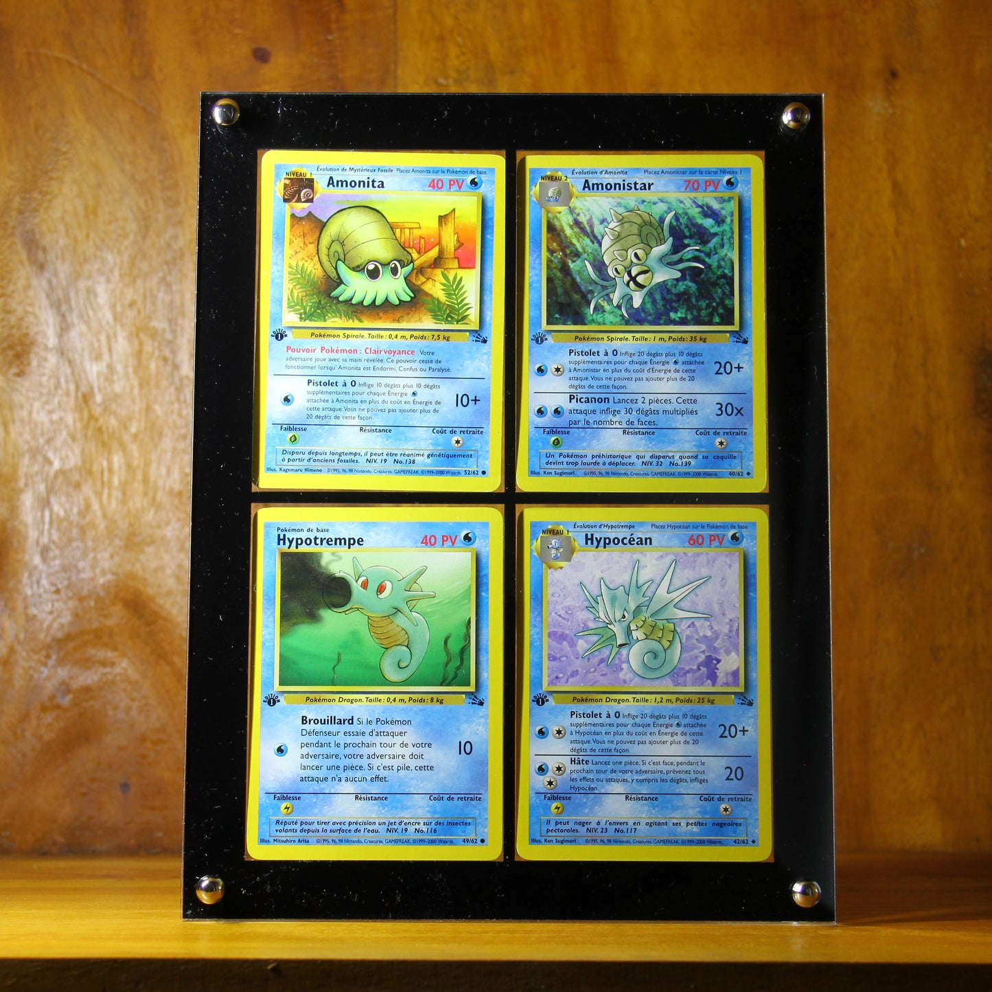 Cadre en acrylique pour 4 cartes avec séparateurs fins - Idéal pour V-Union - Protection anti UV - Avec vis